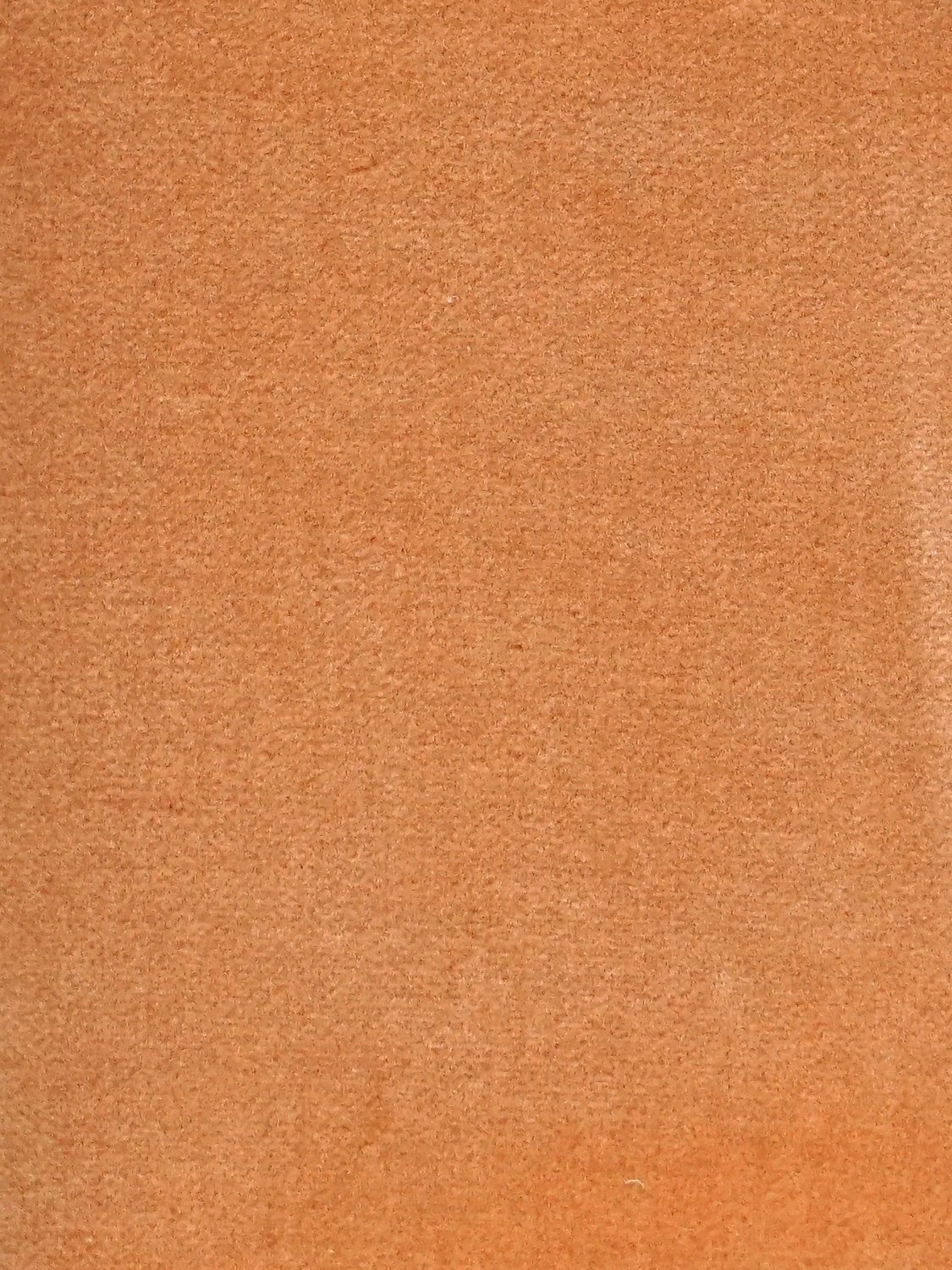 Cosmos - Daim - Scalamandre Fabric