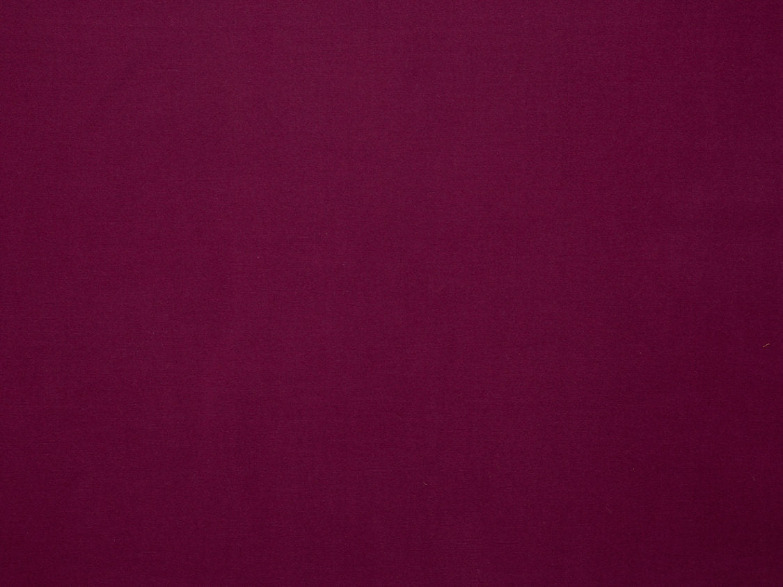 Toucan - Grappe - Scalamandre Fabric