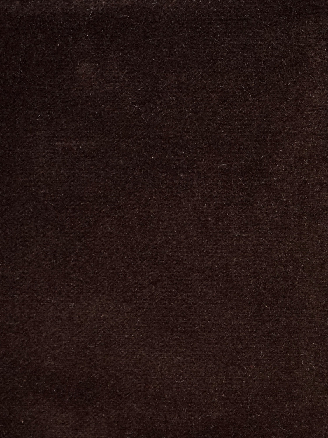Cosmos - Brun - Scalamandre Fabric