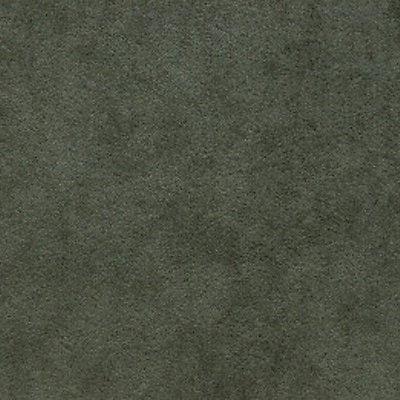 Alcantara - Vert - Scalamandre Fabric