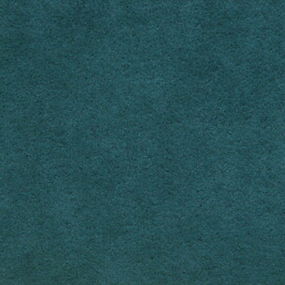 Alcantara - Canard
