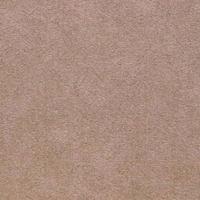 Alcantara - Taupe - Scalamandre Fabric