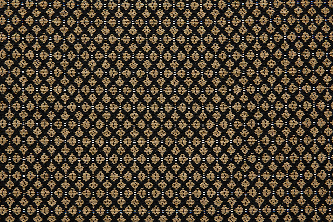 Club M1 - Alezan - Scalamandre Fabric