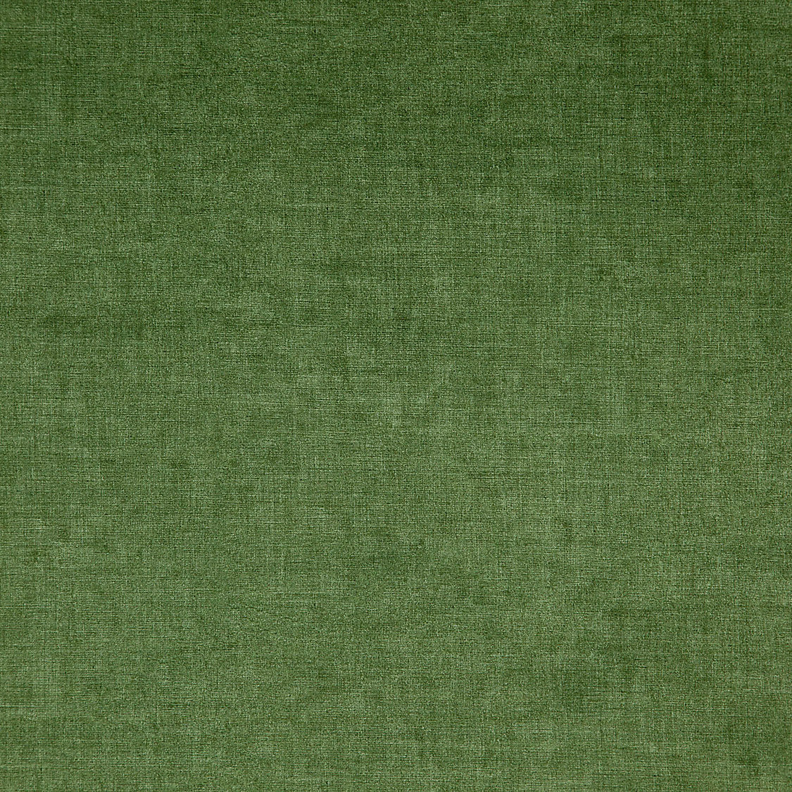 Smart - Aloes - Scalamandre Fabric