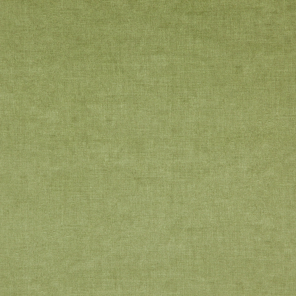 Smart - Prairie - Scalamandre Fabric