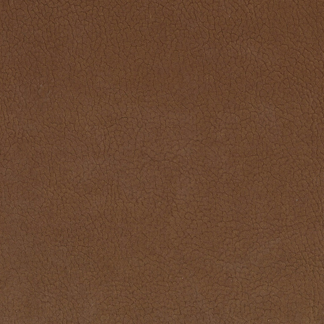 Georgia Suede - Caribou