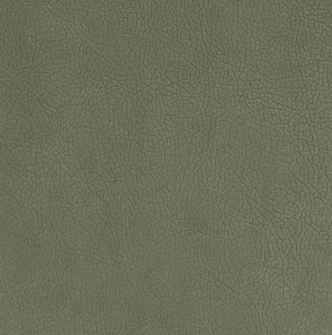 Georgia Suede - Sage