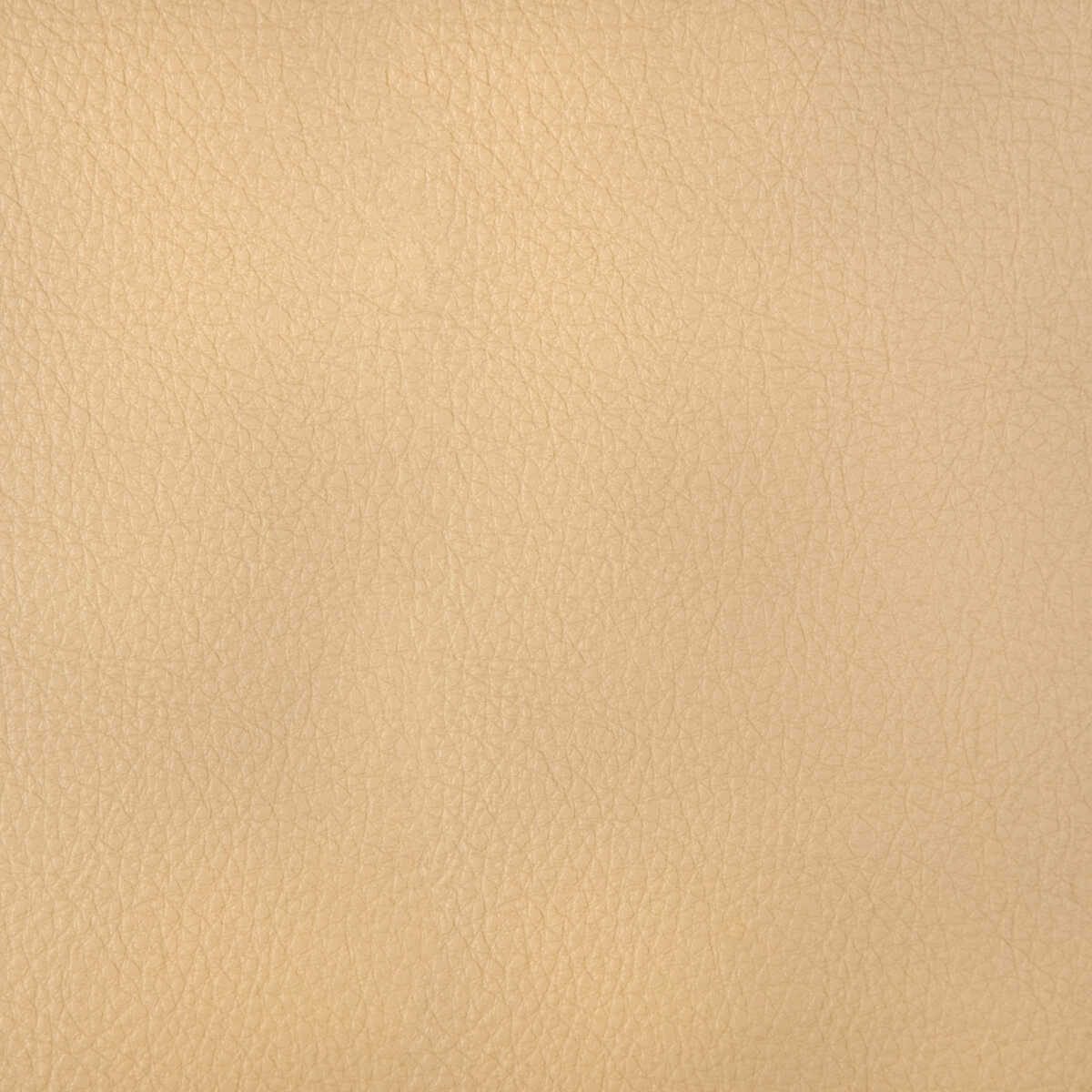 Kravet Design - Harmony-11 - KRAVET DESIGN Tela
