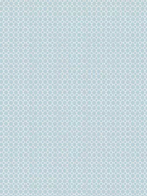 Harry - Bluet - Scalamandre Fabric