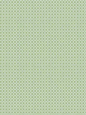 Harry - Spring Leaf - Scalamandre Fabric