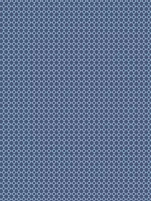 Harry - Indigo - Scalamandre Fabric