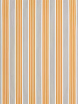 Newport Stripe - Mandarin - Scalamandre Fabric
