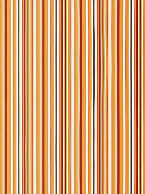 Fiesta Stripe - Terracotta