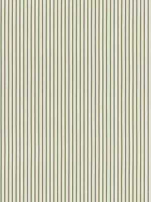 Weston Stripe - Sage - Scalamandre Fabric