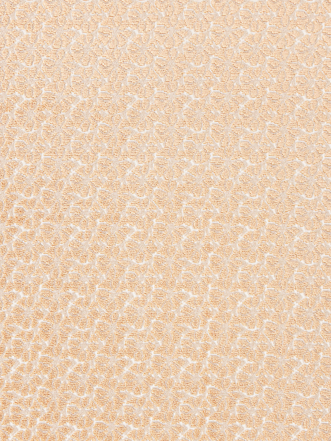 Petal Velvet - Peach Fuzz - Scalamandre Fabric