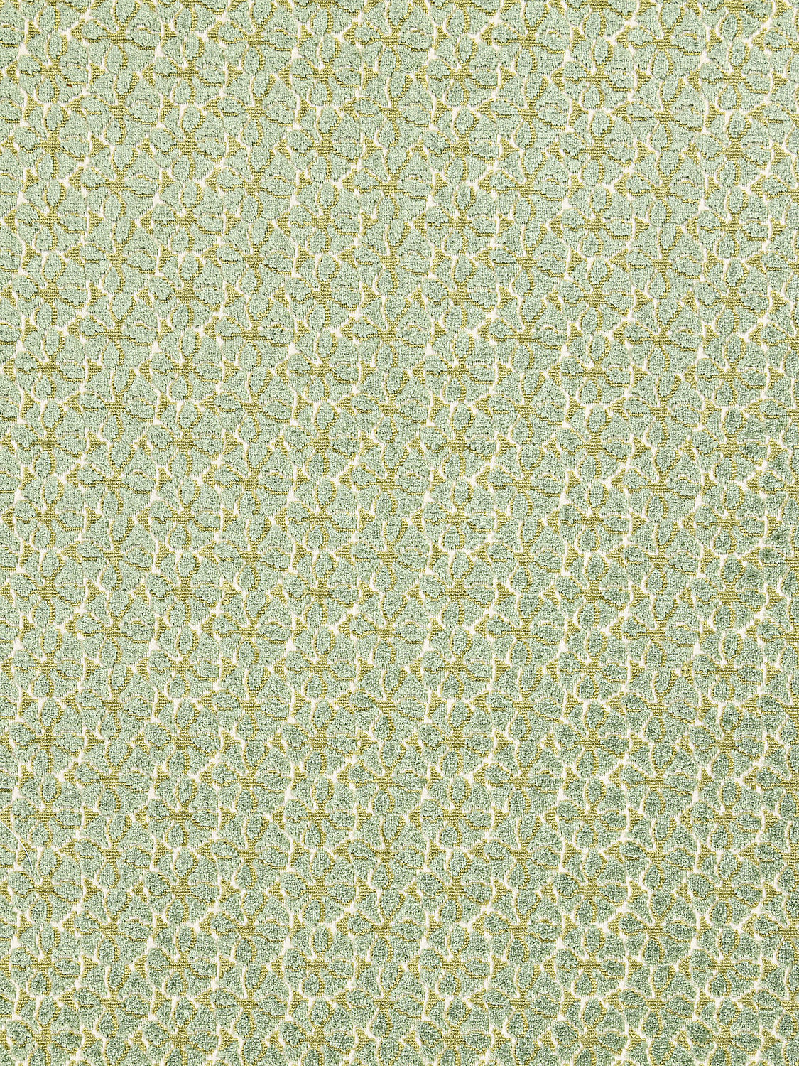 Petal Velvet - Meadow