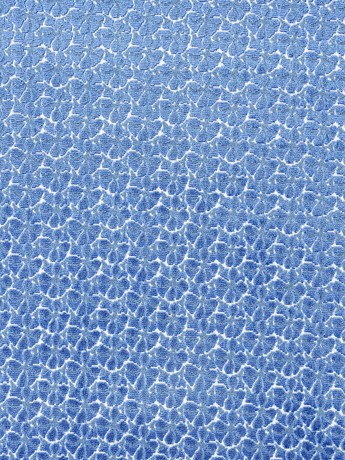 Petal Velvet - Royal Blue - Scalamandre Fabric