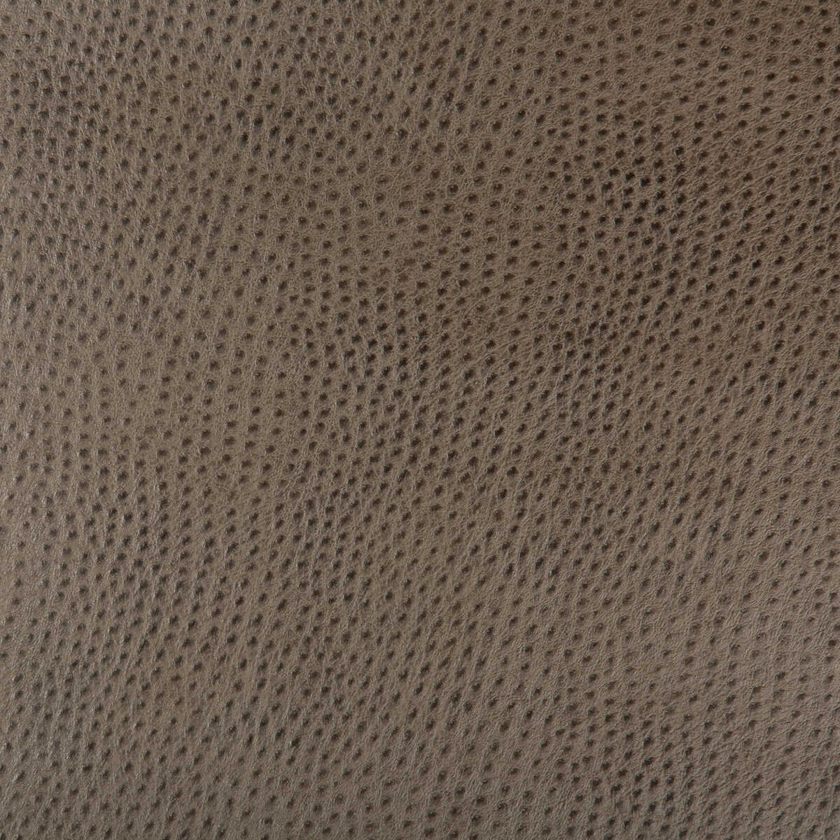 Kravet Design - Hubble-106
