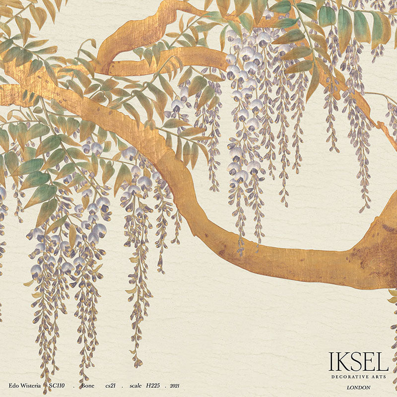EDO-WISTERIA-BONE-SCHUMACHER-IK2600