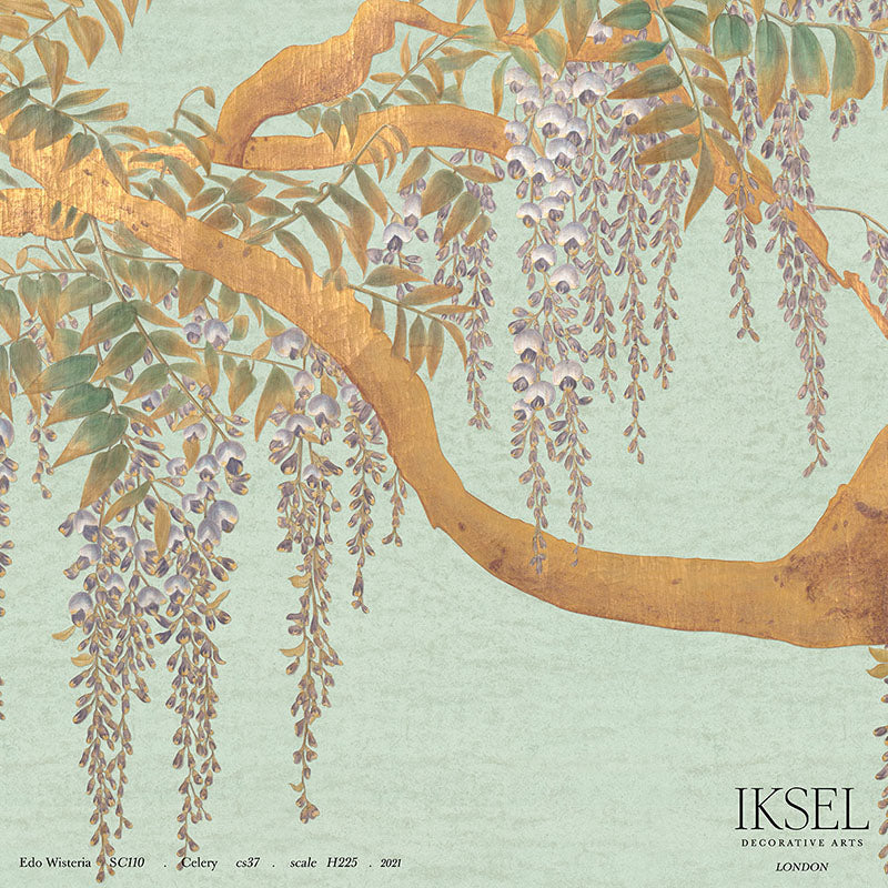 EDO-WISTERIA-CELERY-SCHUMACHER-IK2602
