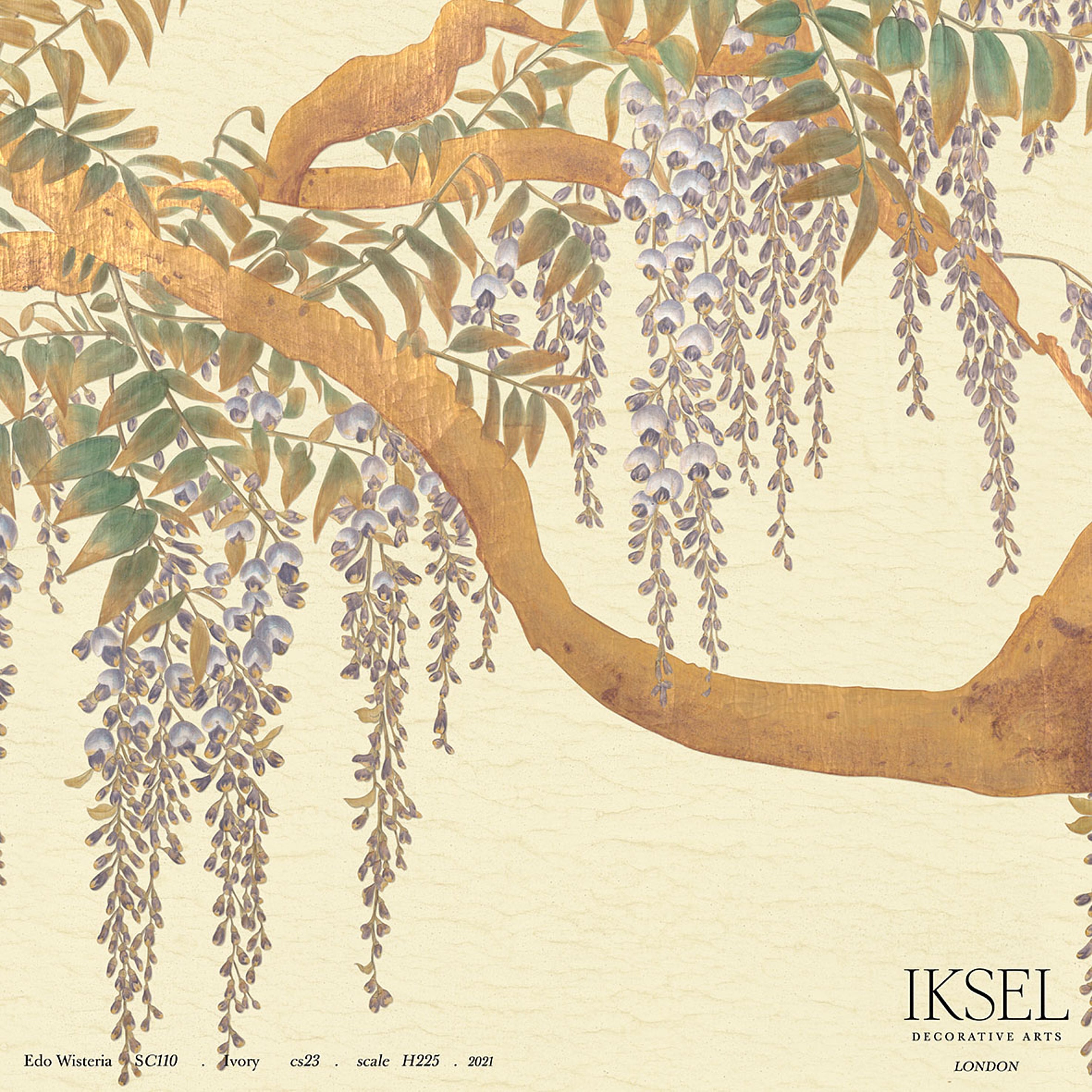 EDO-WISTERIA-IVORY-SCHUMACHER-IK2606