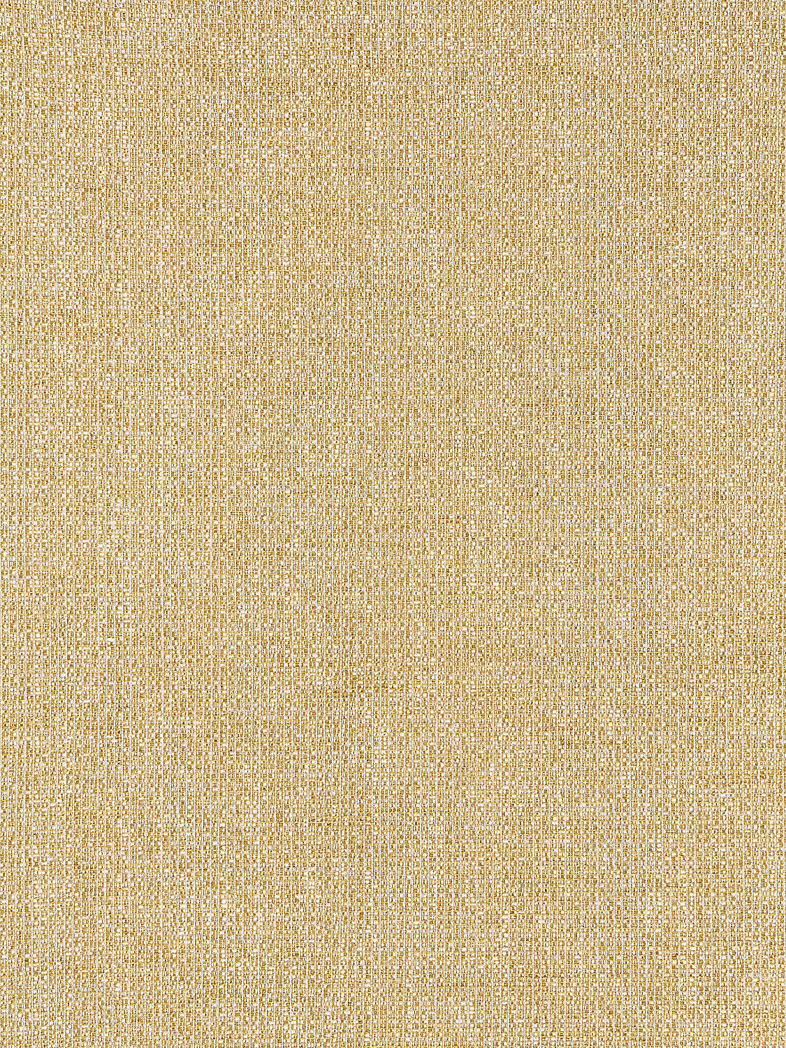 Flint - Gold - Scalamandre Fabric