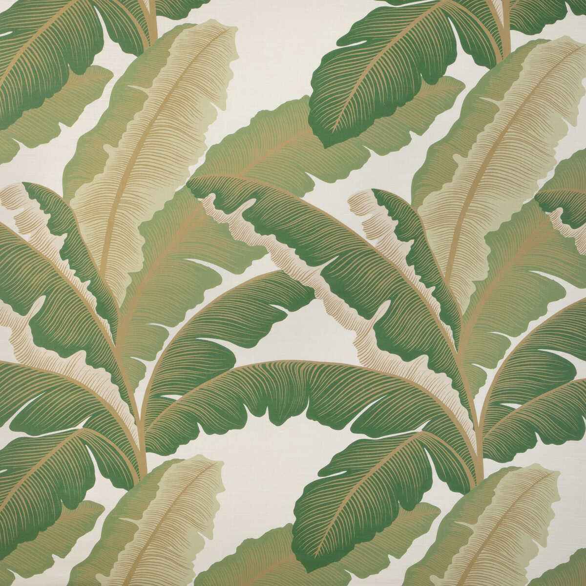 Islaroyal4300 Isla Royal Golden Palm Kravet Couture Fabric