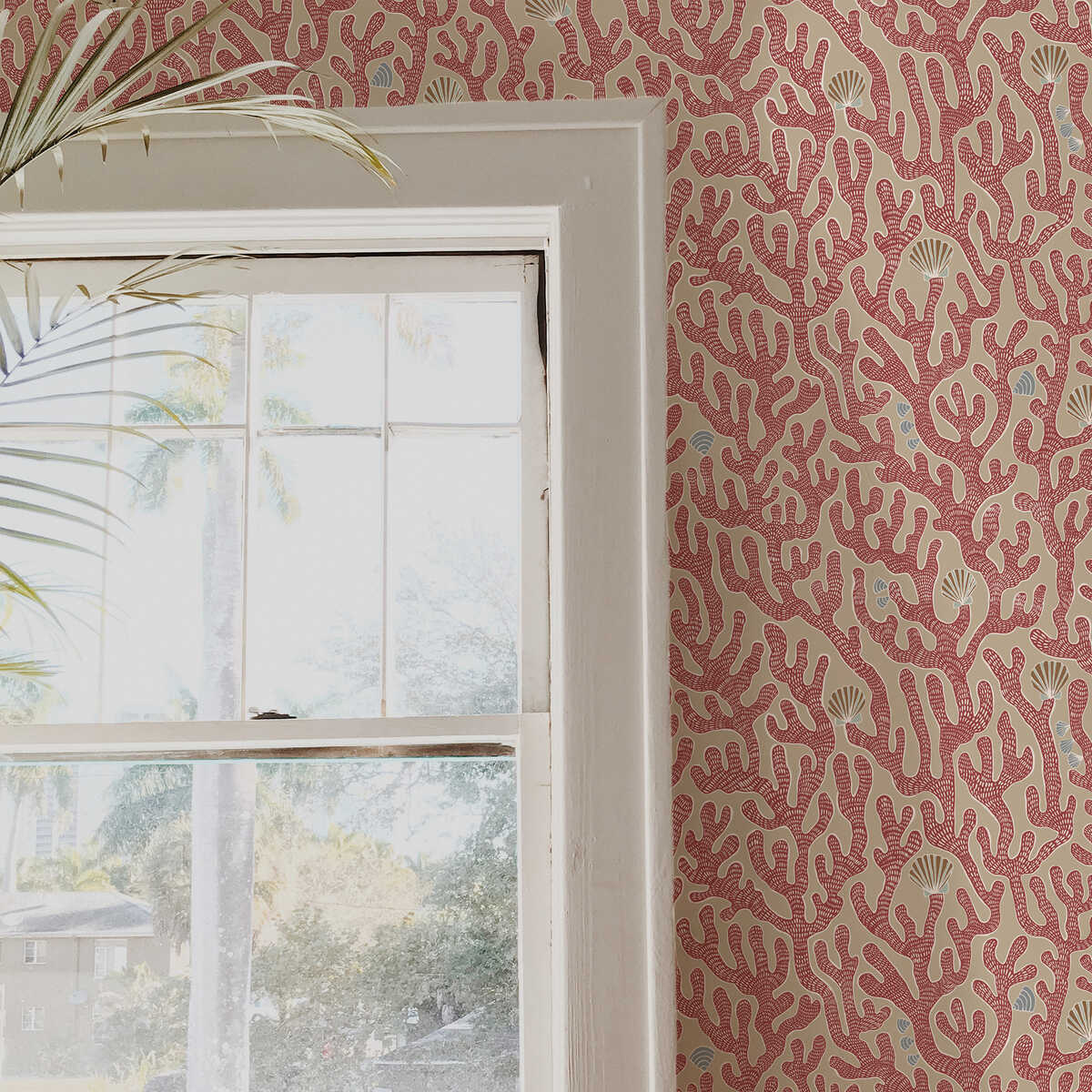 Coral - 01 - KRAVET COUTURE Wallpaper