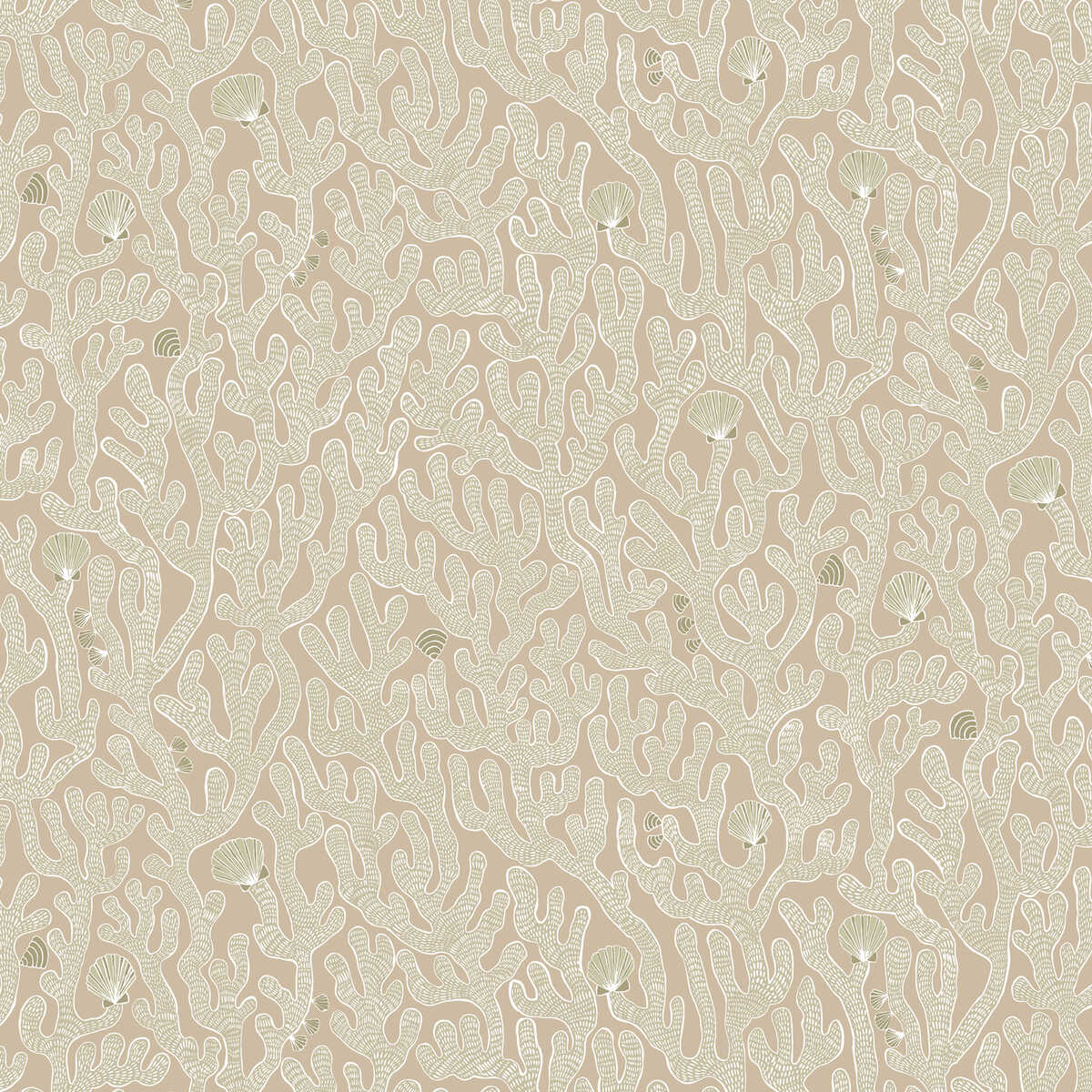 Coral - 11