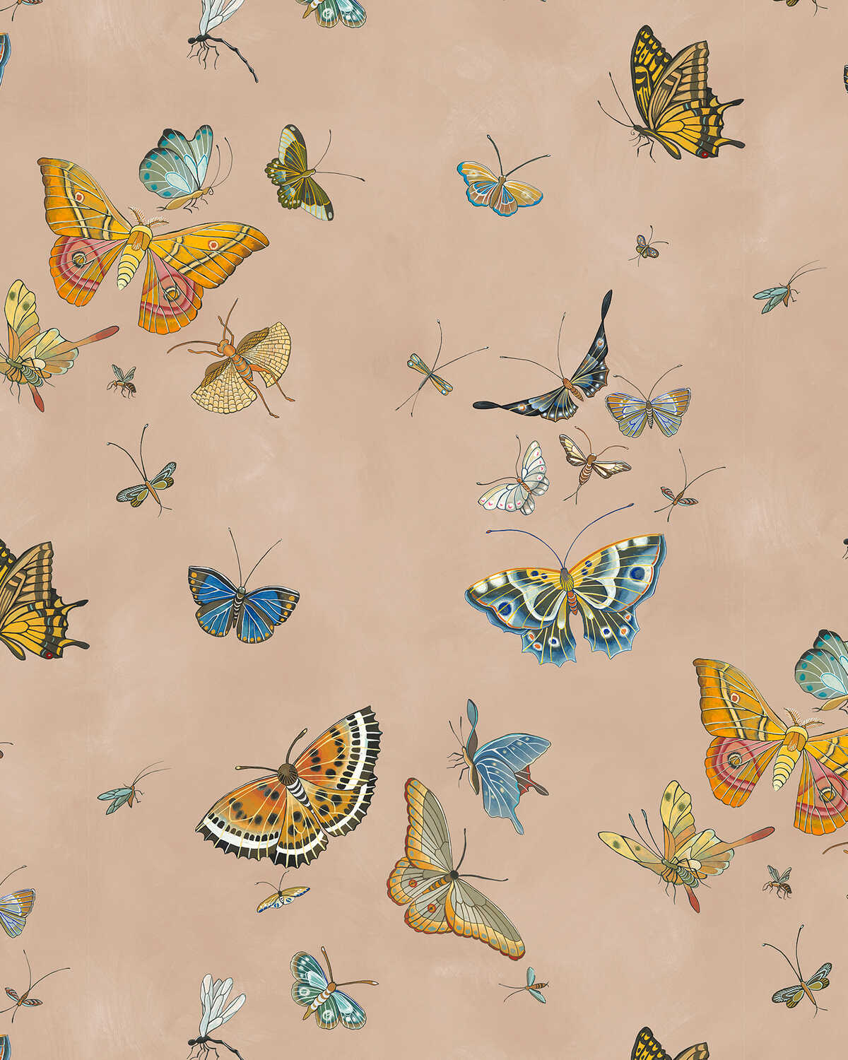 Butterflies - 01 - KRAVET COUTURE Wallpaper