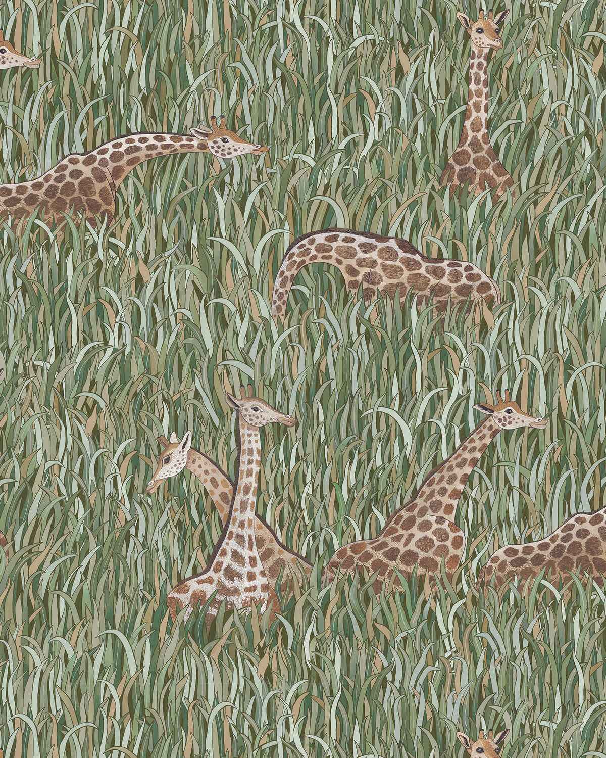Jmw1049010 Giraffes 01 Kravet Couture Wallpaper