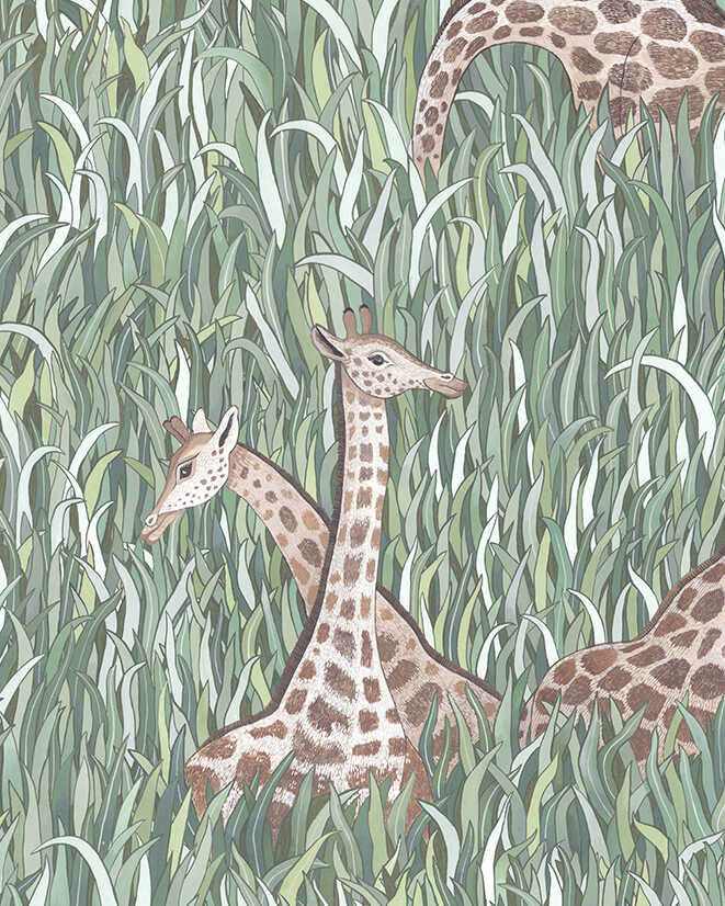 Giraffes - 11 - KRAVET COUTURE Wallpaper