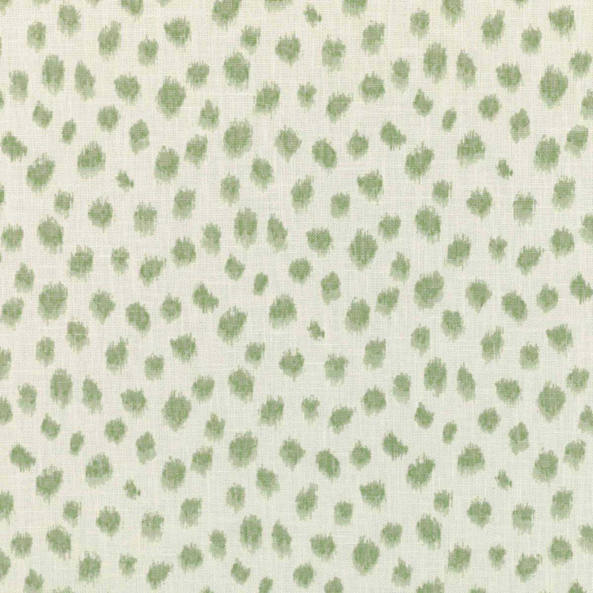 Kravet Basics - Jungleikat-30 - KRAVET BASICS Fabric