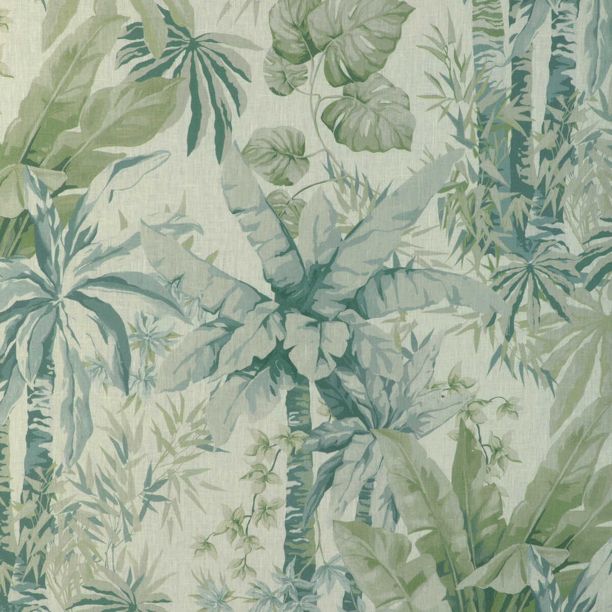 Junglewood - Blue Sage