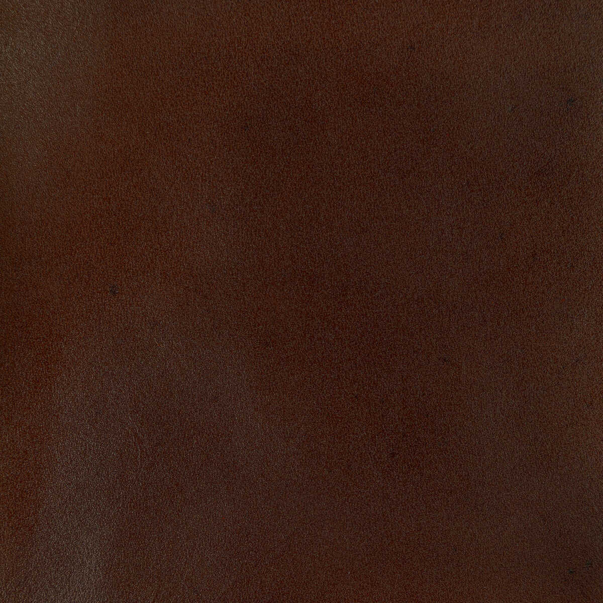 Kravet Design - L-Adobe-Brown - KRAVET DESIGN Fabric