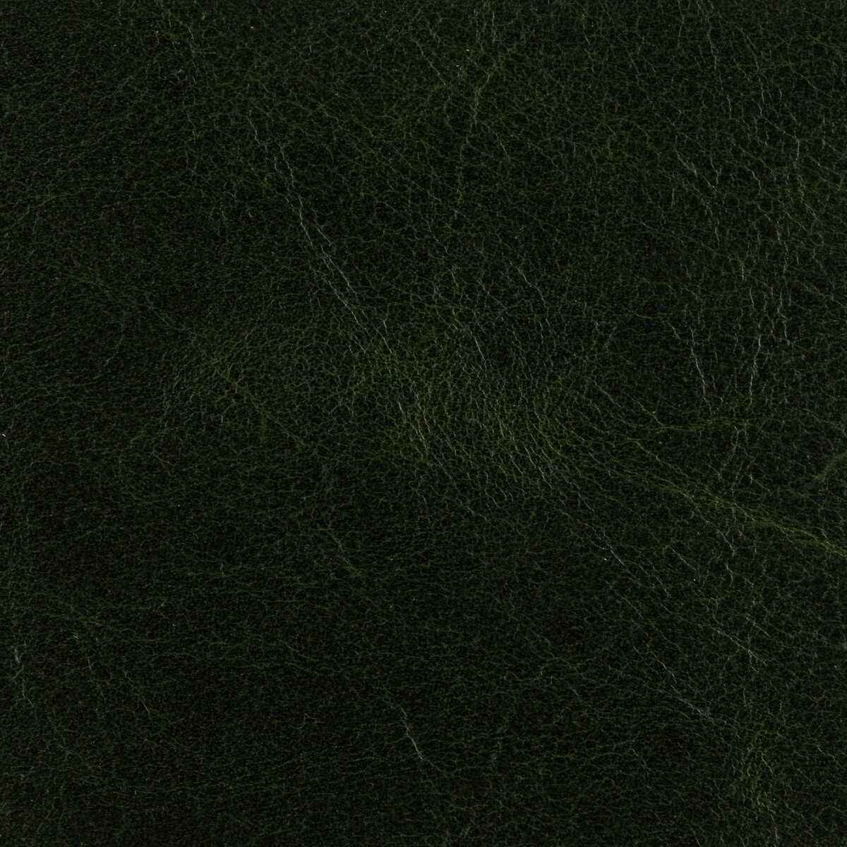 Larizonaforest0 L Arizona Forest Kravet Design Fabric