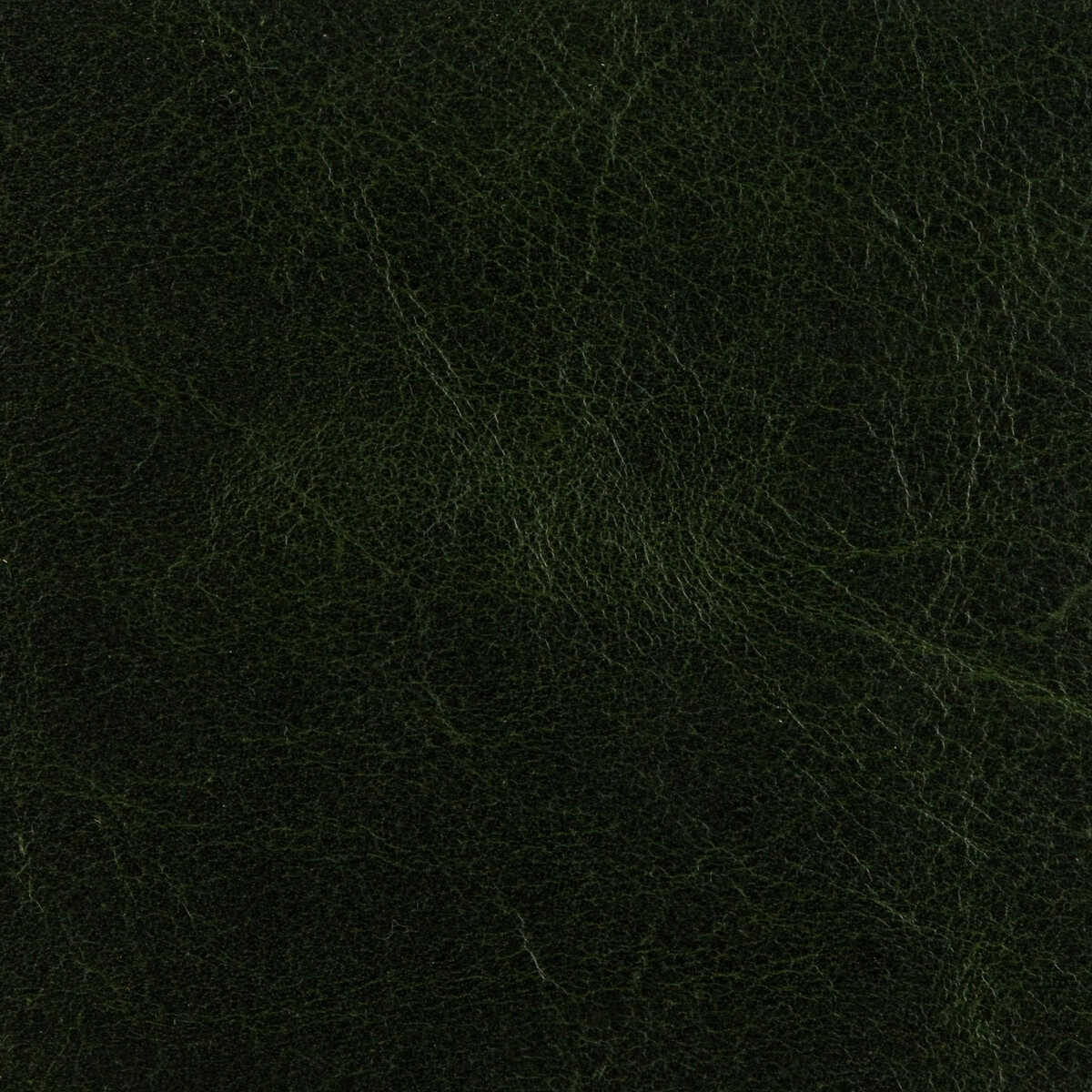 L-Arizona - Forest - KRAVET DESIGN Fabric