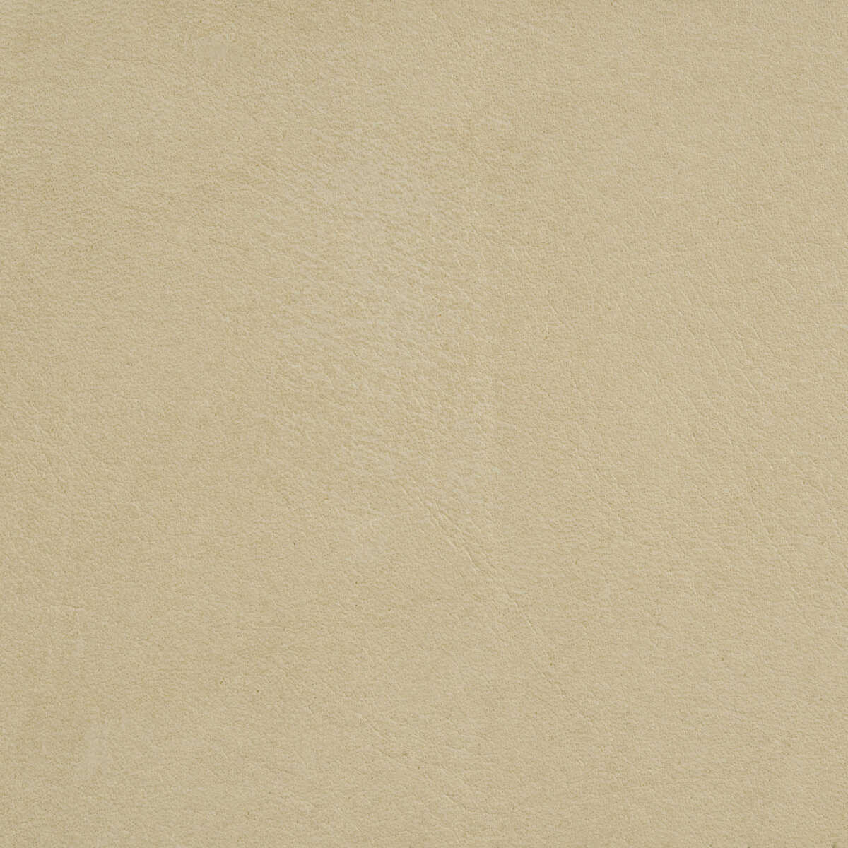 L-Arizona - Putty - KRAVET DESIGN Fabric