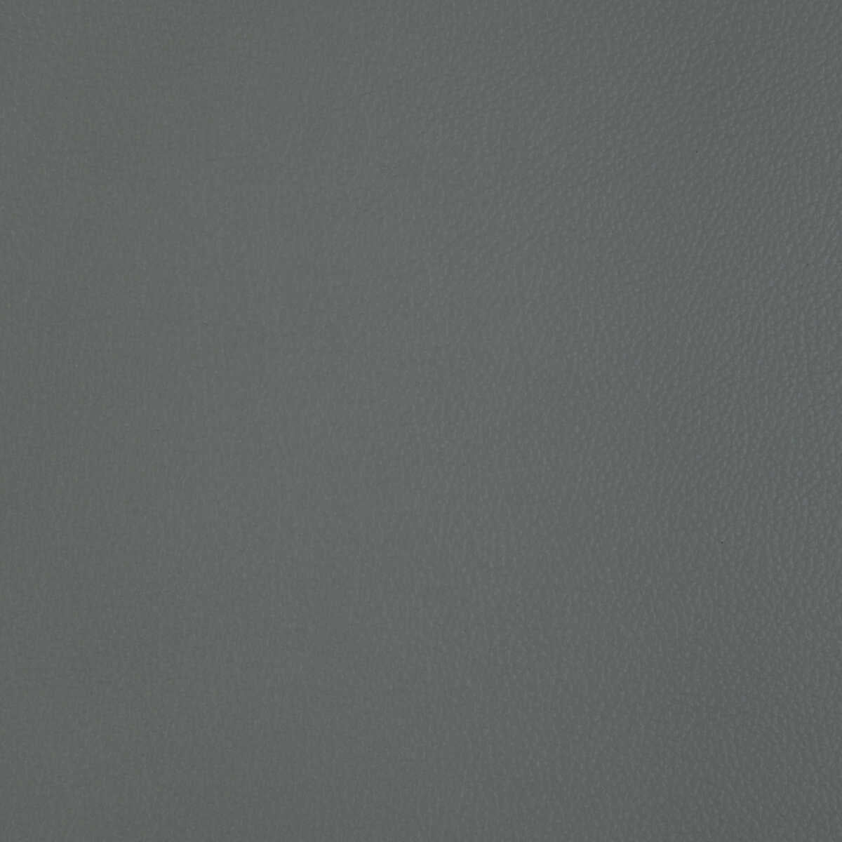 Kravet Design - L-Badger-Ash