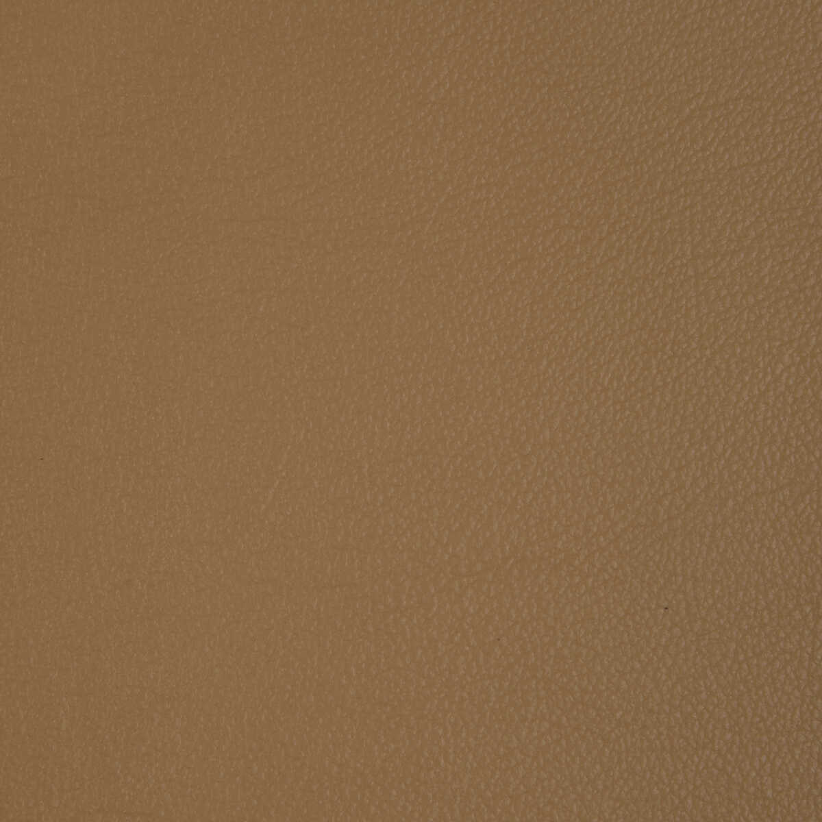 Kravet Design - L-Badger-Camel - KRAVET DESIGN Fabric