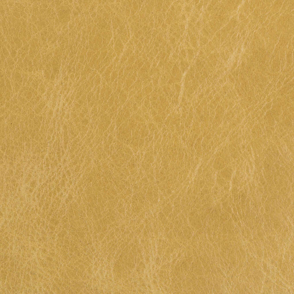 Kravet Basics - L-Beaumont-Sap - KRAVET BASICS Fabric