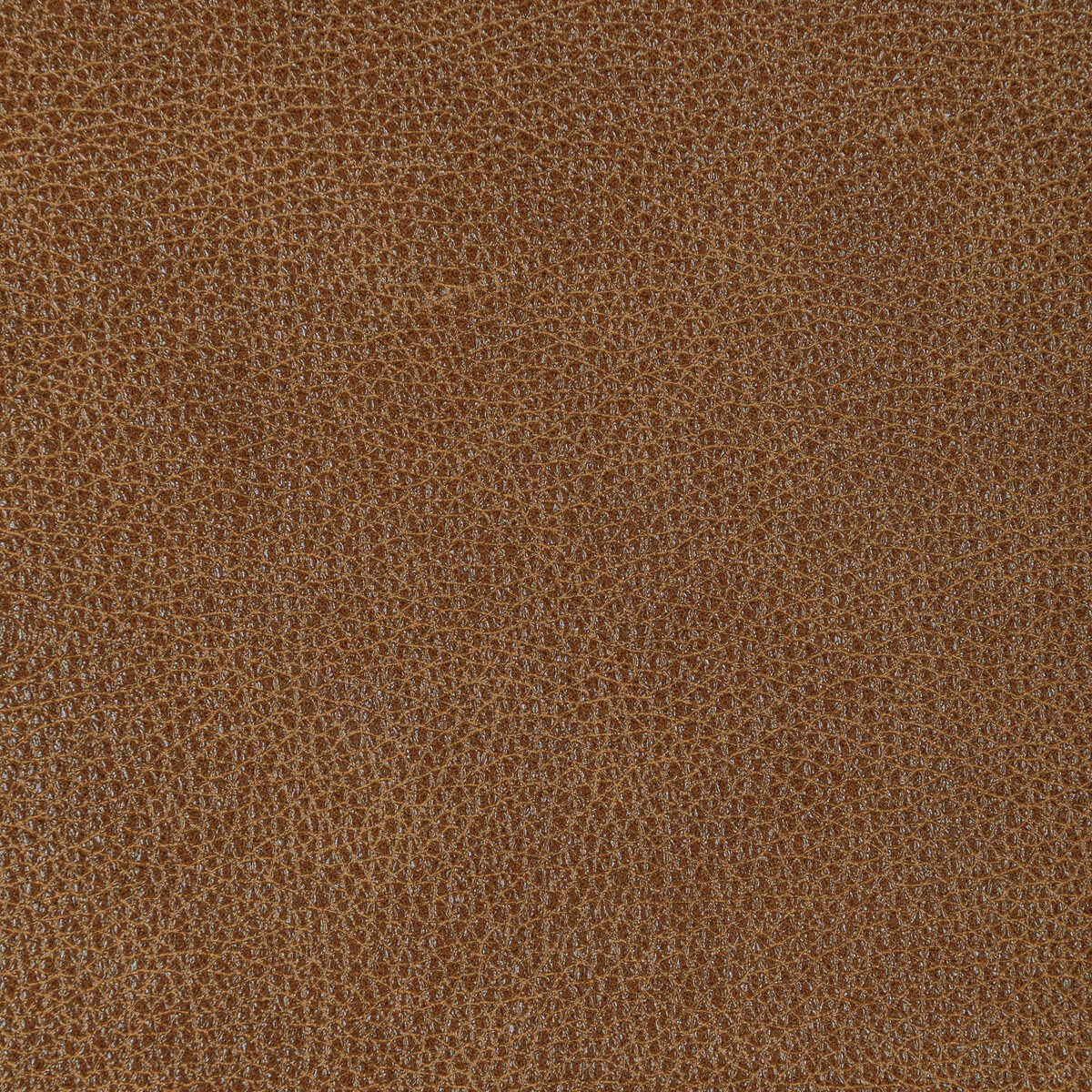 Kravet Design - L-Bison-Pecan - KRAVET DESIGN Fabric