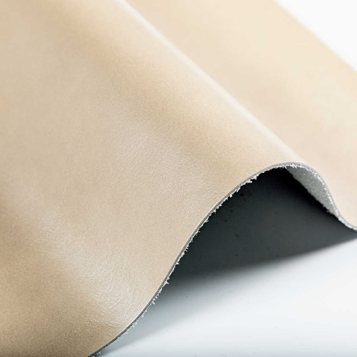 Kravet Design - L-Bota-Alabaster - KRAVET DESIGN Fabric