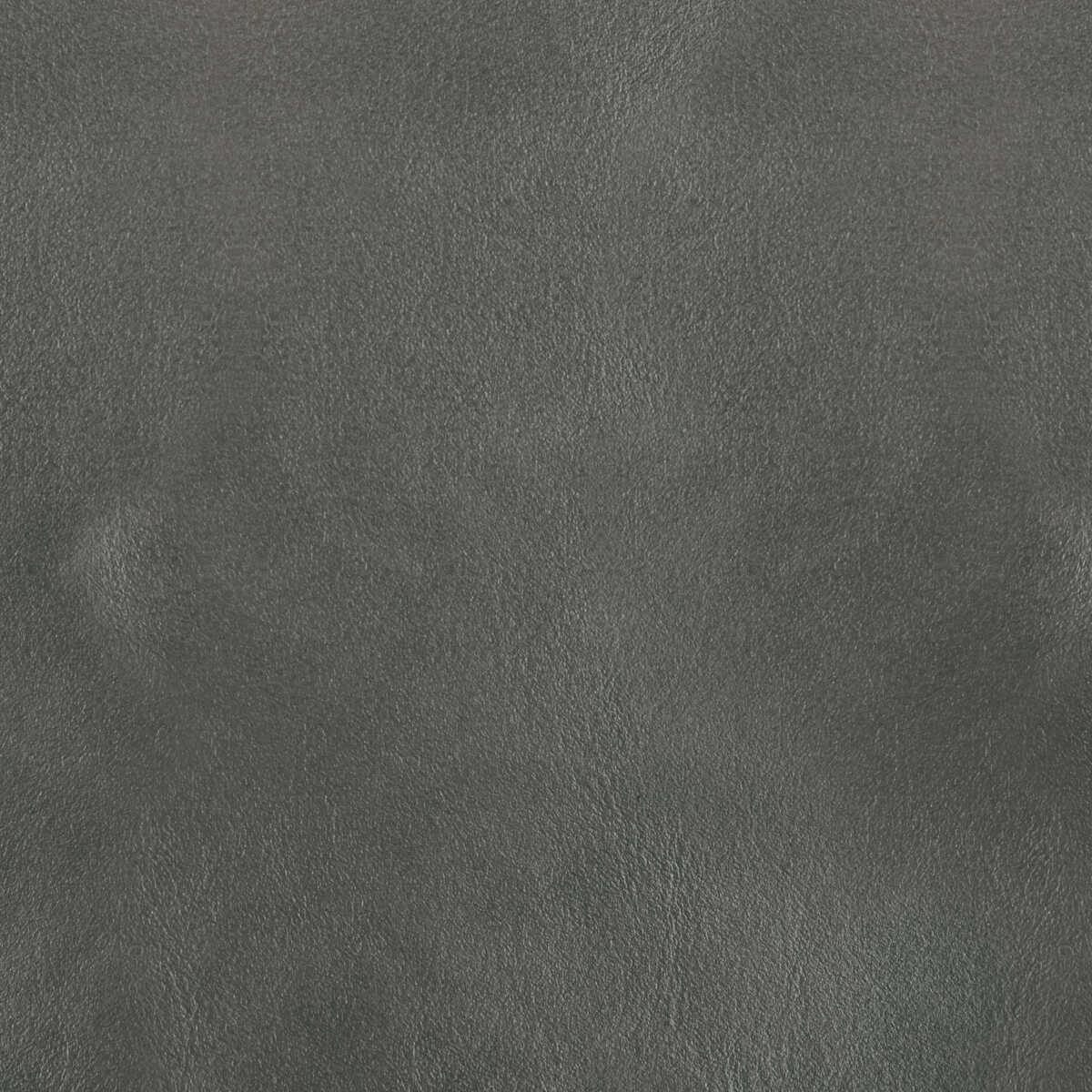 Kravet Design - L-Bota-Coin