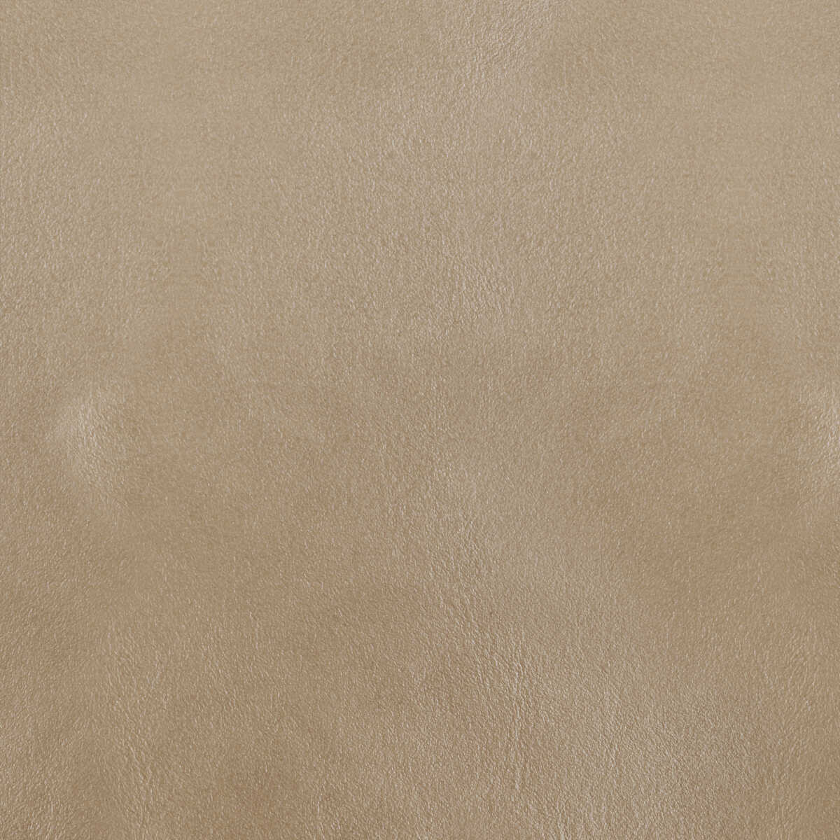 Kravet Design - L-Bota-Mica - KRAVET DESIGN Fabric