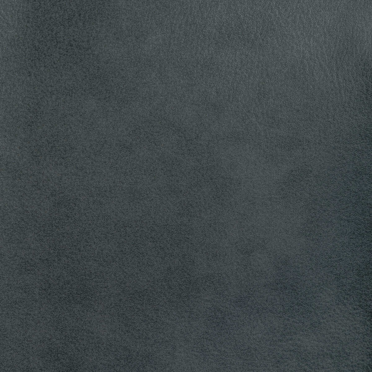 Kravet Design - L-Bota-Onyx - KRAVET DESIGN Fabric