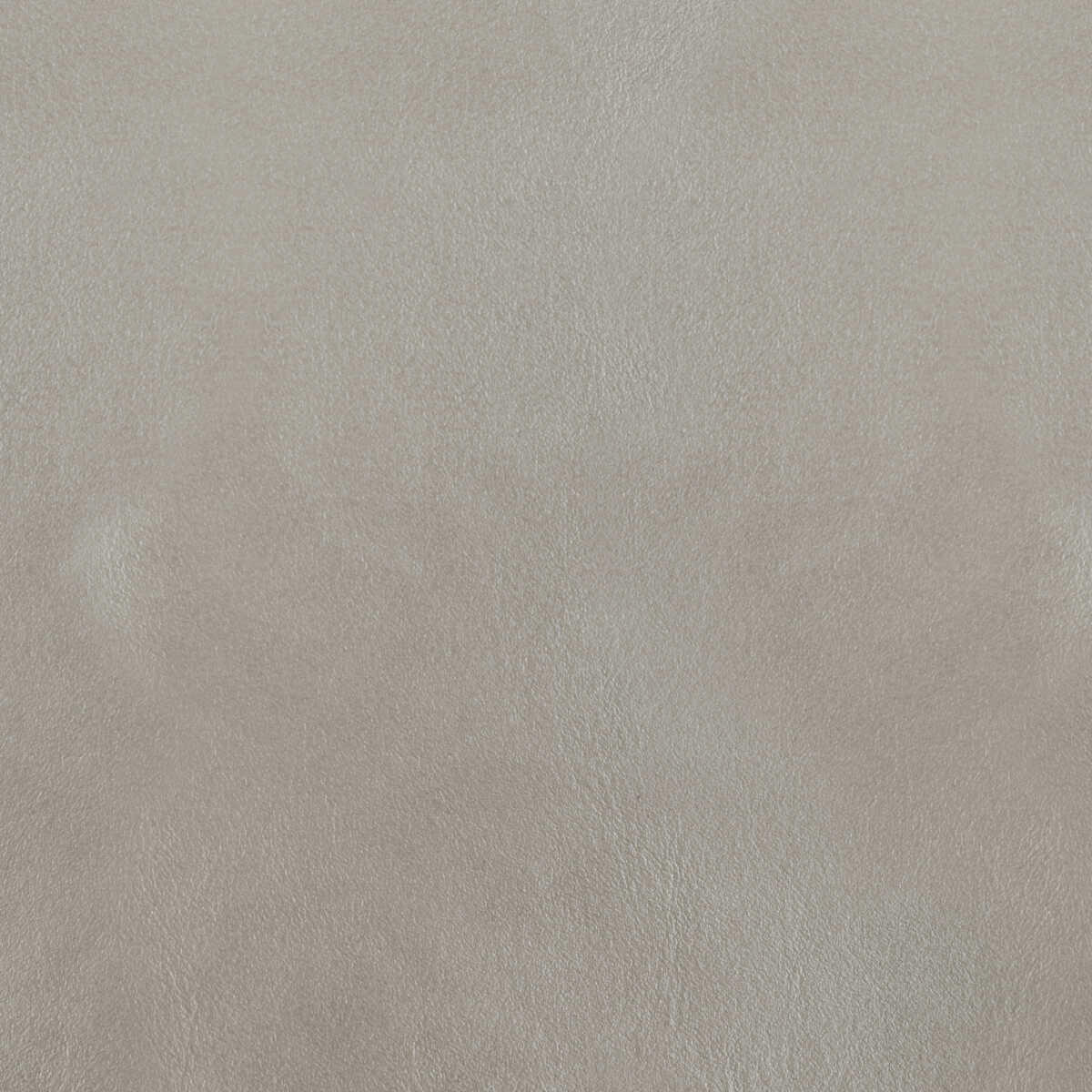Kravet Design - L-Bota-Silver - KRAVET DESIGN Fabric