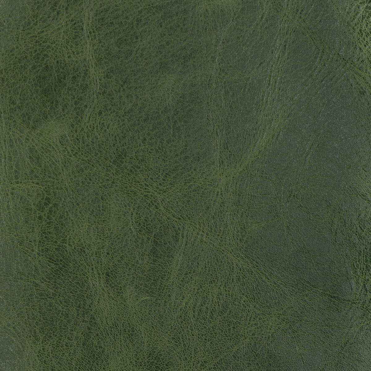 Lbrantleyevergreen0 L Brantley Evergreen Kravet Design Fabric