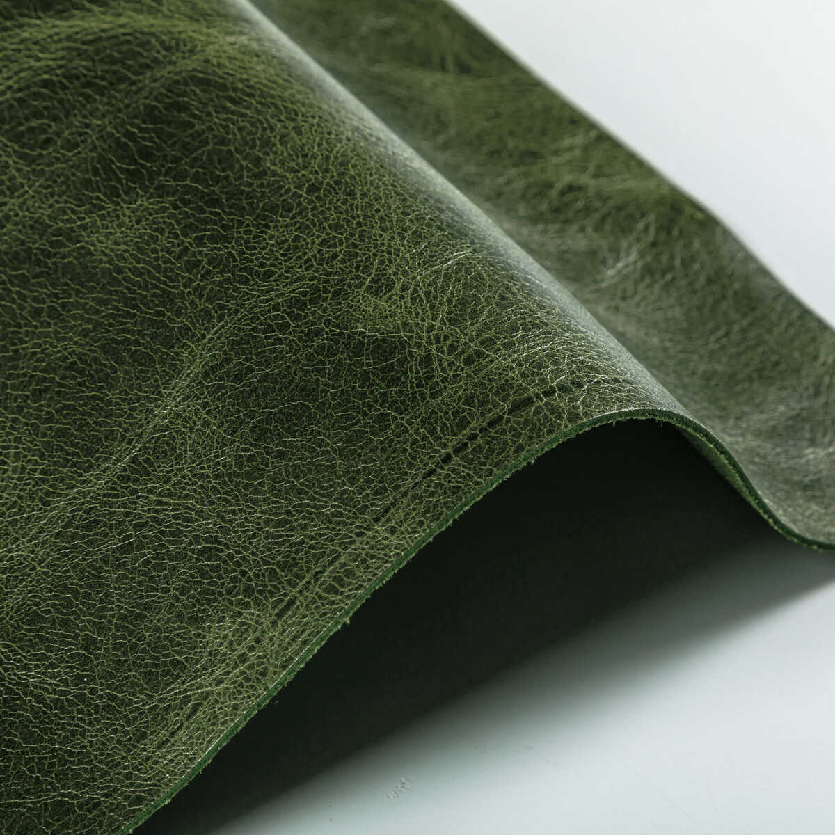 L-Brantley - Evergreen - KRAVET DESIGN Fabric