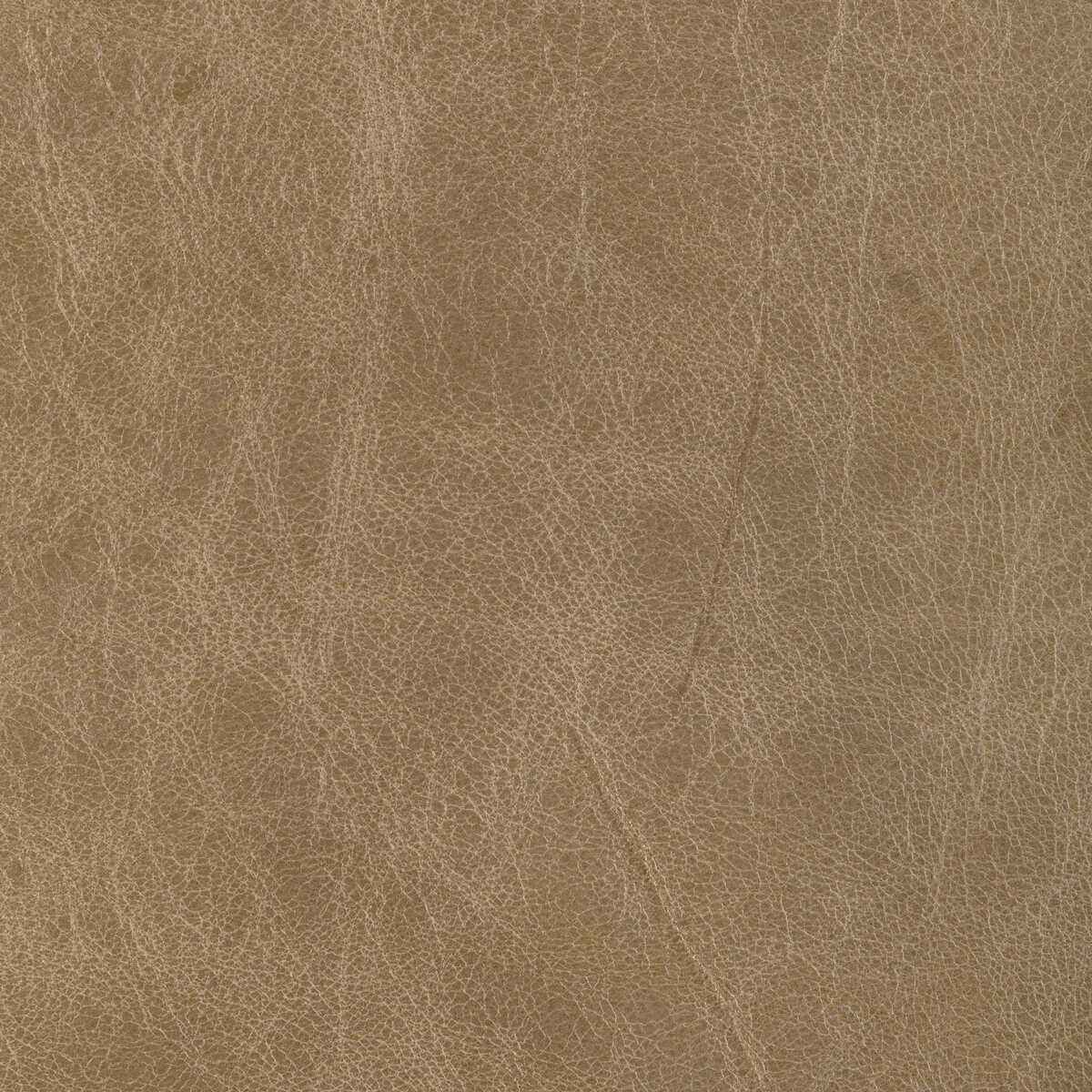 Lbrantleytan0 L Brantley Tan Kravet Design Fabric